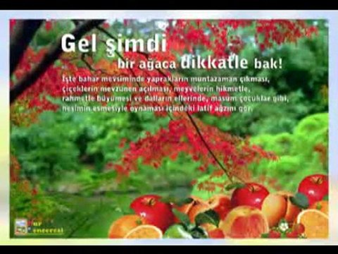 kürtçe ilahi Dünya Fani