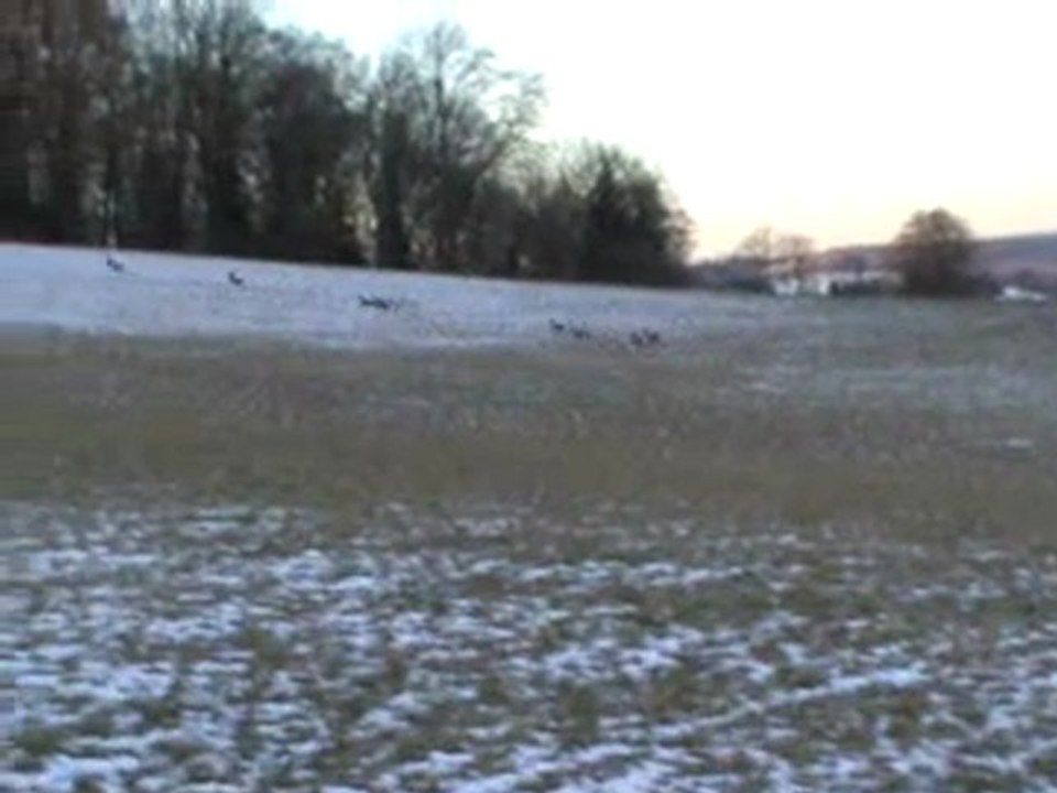 20100203082634