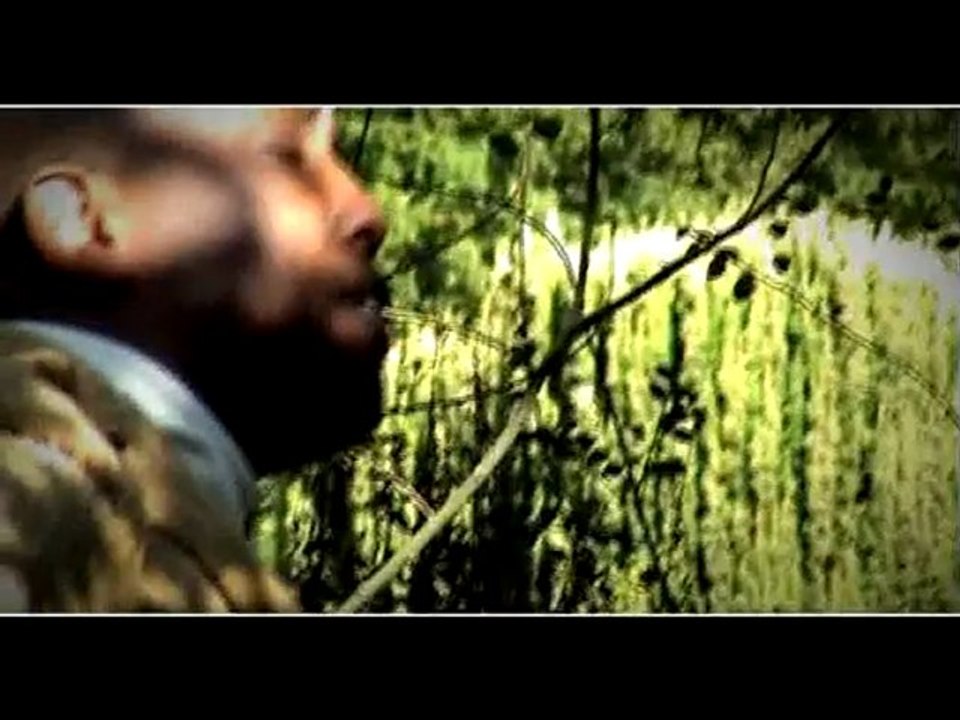 Comme une biche (NSD productions 2010)