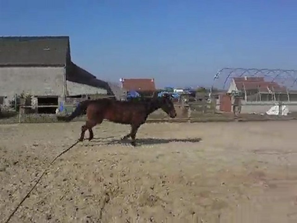 Tara2 07/03/2010
