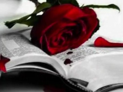 Pierre Bachelet* sans toi