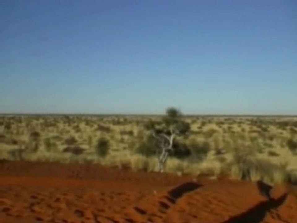 Kahalari desert -  Namibia #1