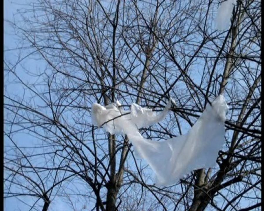 Plastiques Volants