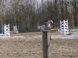 Hunter club 2 7 mars 2010 à Chouzy