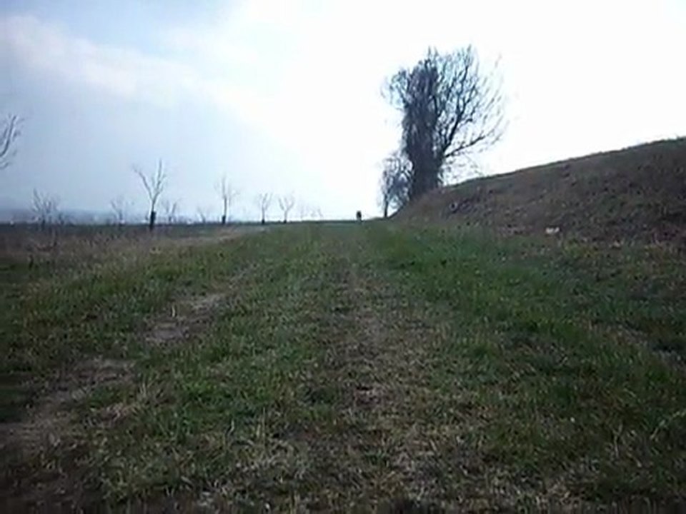 Dzara qui courrrrr