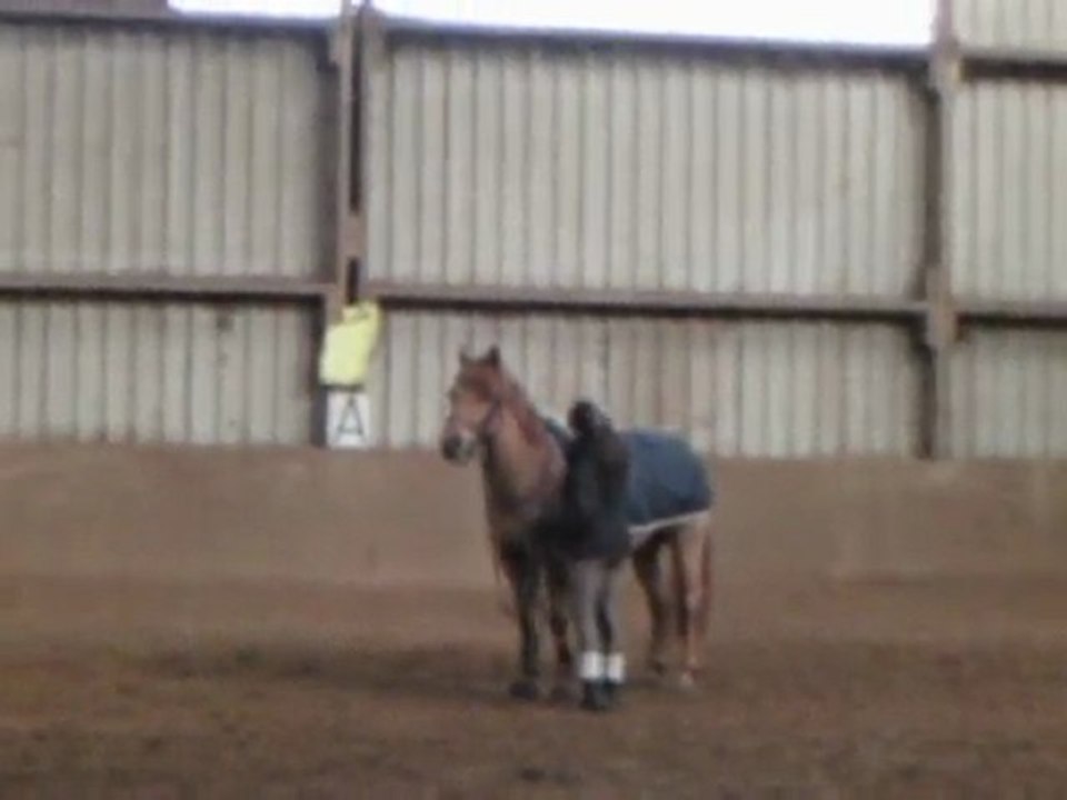 perrine qui travaille madou a la longe