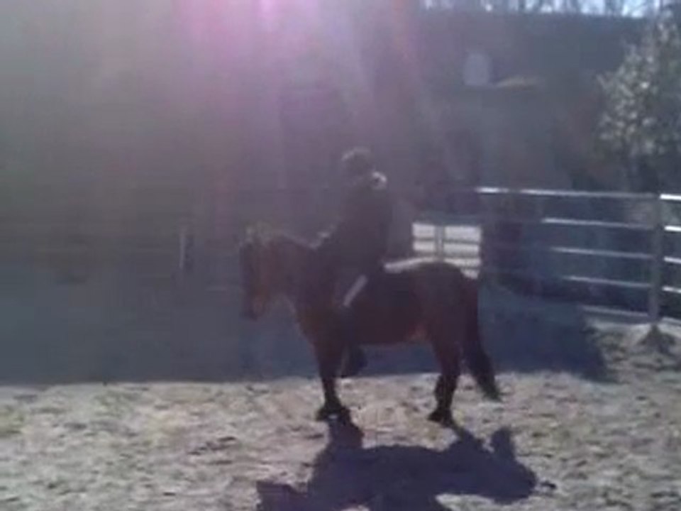 Mon lou' Galop en Liberté