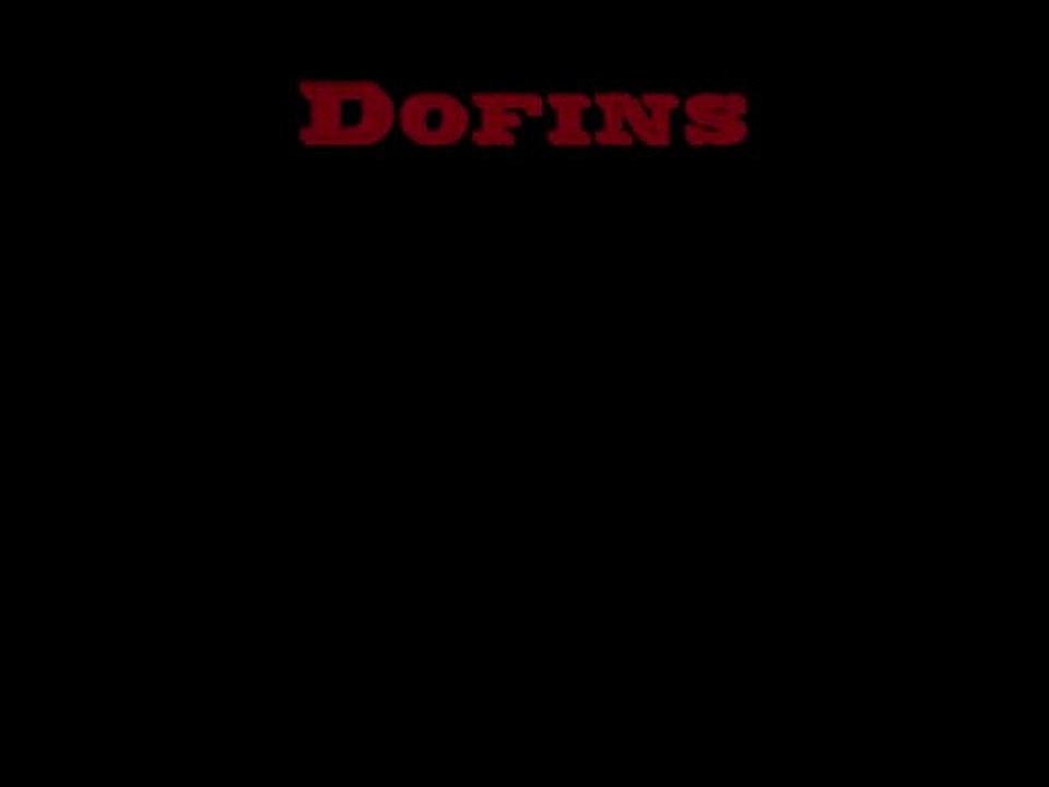 Dofins 07-03-2010