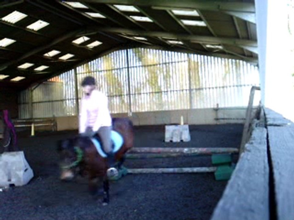 roméo & Moi saut en licol