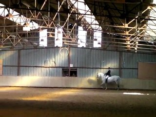 Concours Dressage - Laeti - Varennes Jarcy - 07-03-10