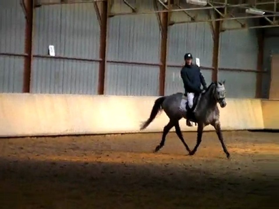 Concours Dressage - Amaury - Varennes Jarcy - 07-03-10