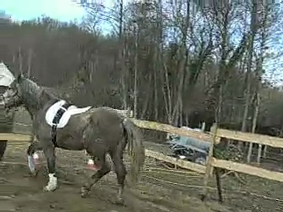 Umara Du Marais - début travail à pied mars 2010