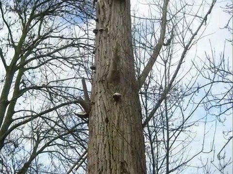 Diaporama de l'année 2009 - 4ème partie