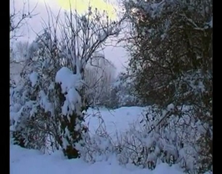 Paysage de neige