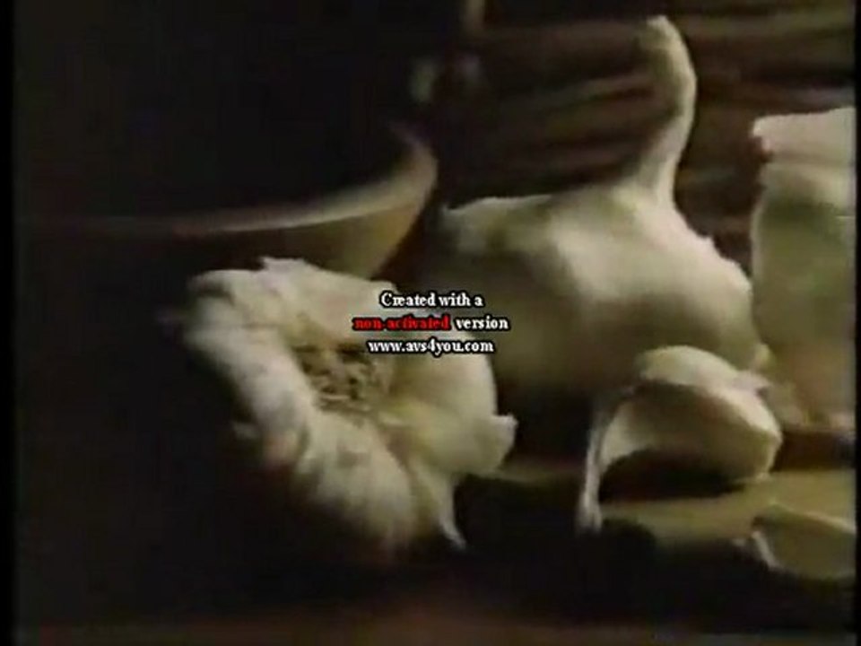 1988 Wishbone Italian Style Dressing Commercial