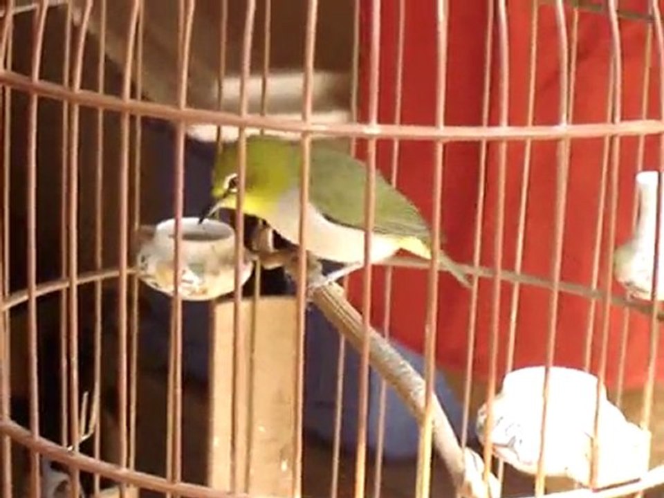 MOV00086.MPG-Segment1(00-00-00-00-01-04)