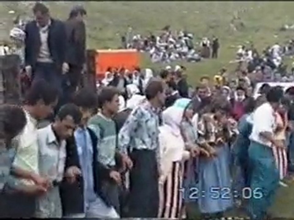 Honeftera 1993