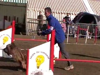 2ème degré Ukraine Dreux