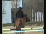 rebel du jouas poneys D gros moyens