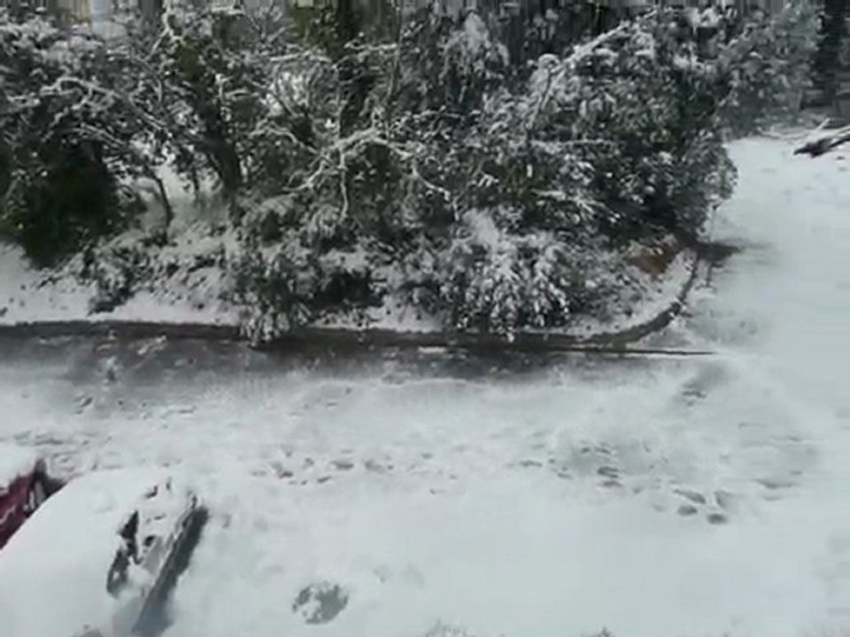 Montpellier 8 mars 2010