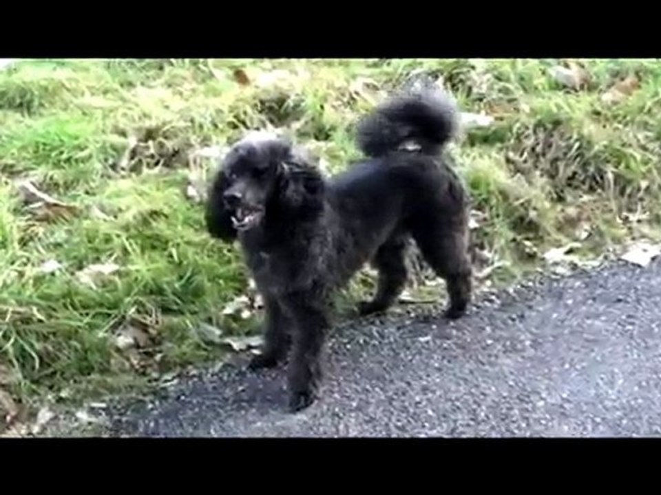 ballade du 7 février 2010