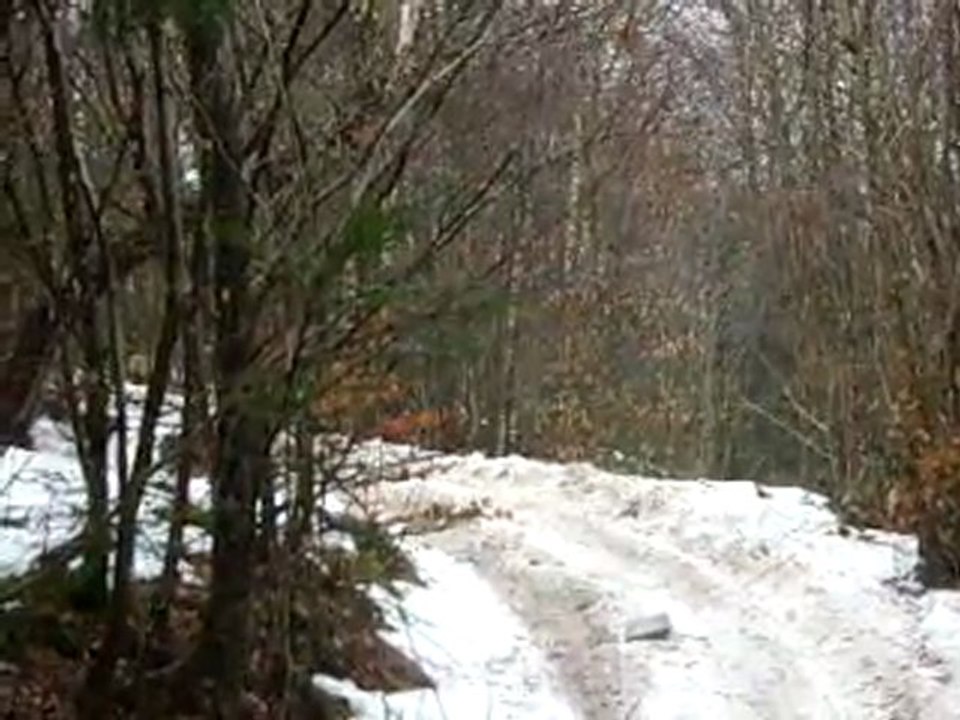 Reco Rando Beaujolais IMG_1083