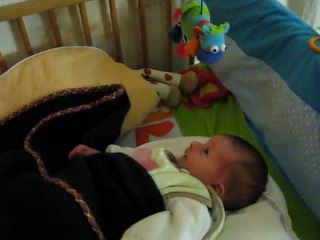 26/12/2009 : mobile calme