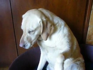 agathe qui dit bonjour