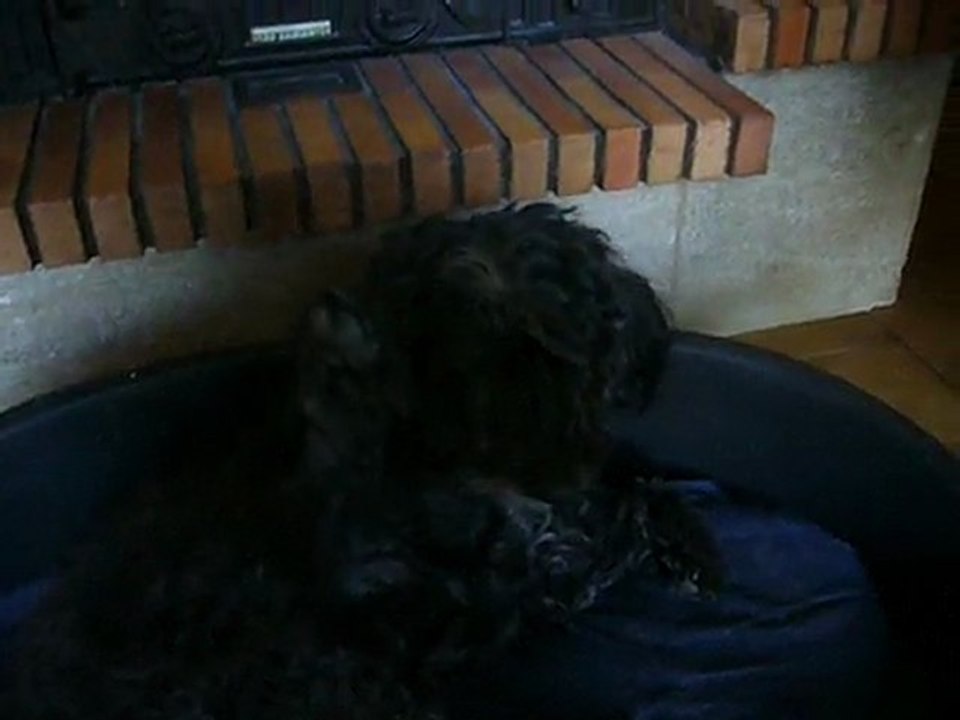 freya qui dit bonjour