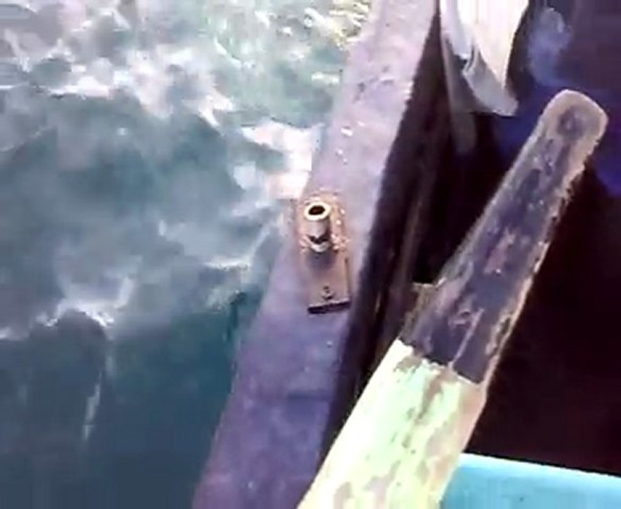 fishing Ravda bay Bulgaria