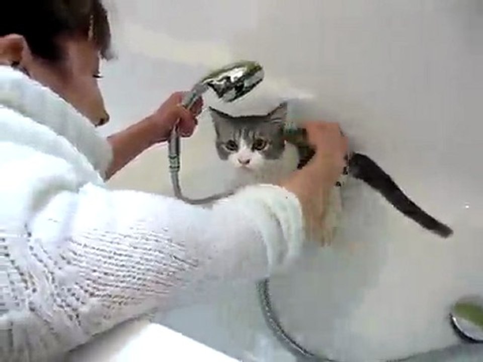 Pixel le chat prend un bain