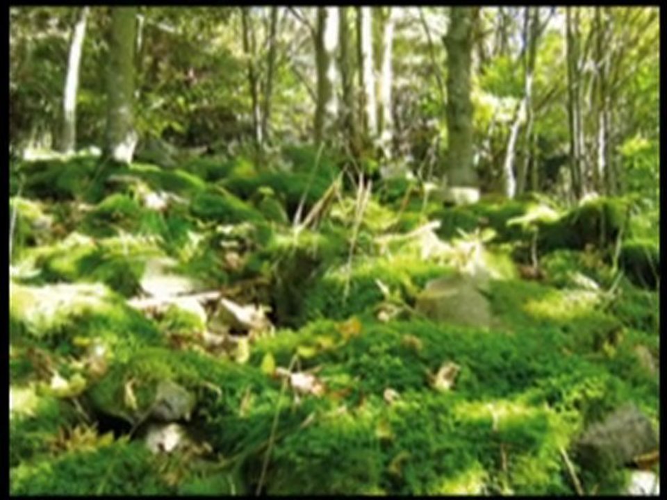 Berdenvironnement - Laboratoires Berden - Eric Dumonpierre