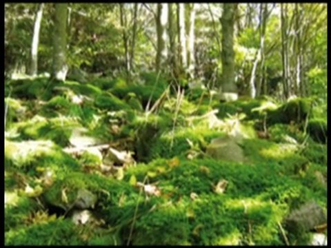 Berdenvironnement - Laboratoires Berden - Eric Dumonpierre