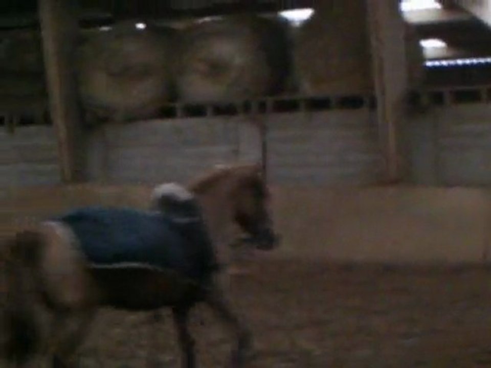 pertrine et madou travaille a la longe 2