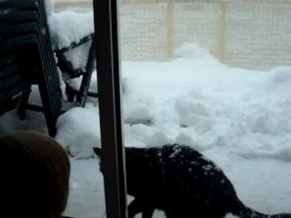 PuPuce Neige 8 mars 2010 Canet-Plage