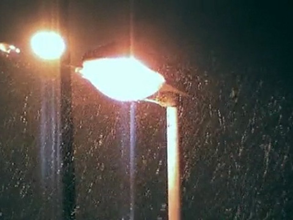 Nuit blanche à Port Camargue