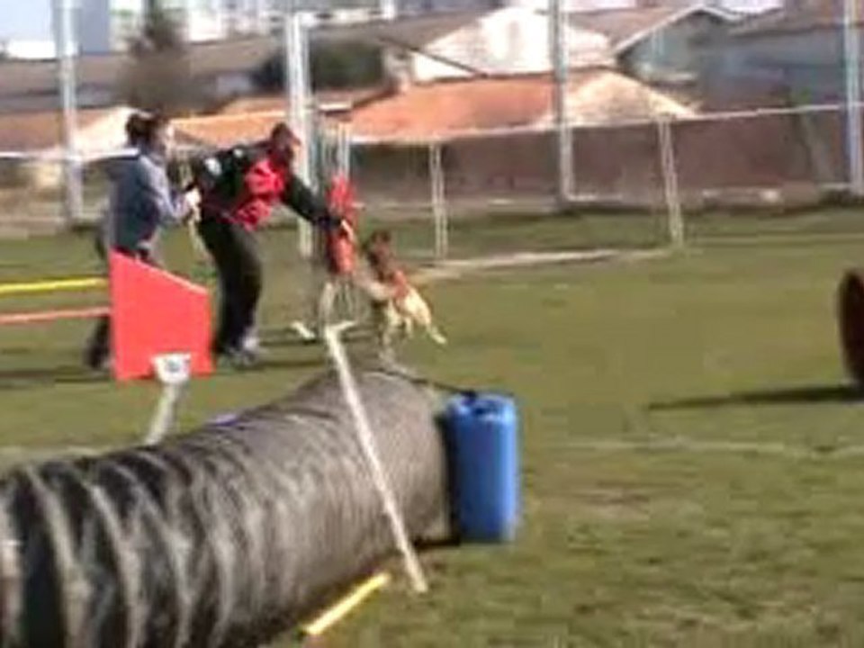 20100307233357