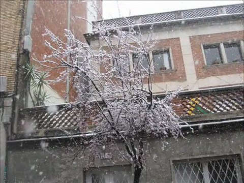 Les fotos de la nevada a Gràcia - 8 de març 2010