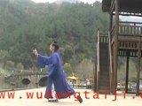 Wudang Taiji 13 (Taiji Shi San Shi) - Maître Chen Shiyu