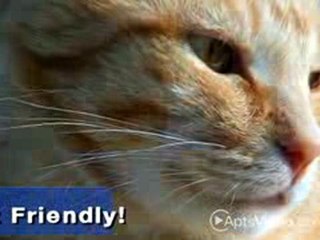 Berkeley Run Apartments in Atlanta, GA - ForRent.com