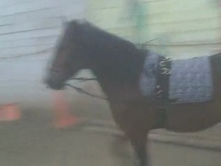 balou et moi confiance et respect mutuel en peu de temps