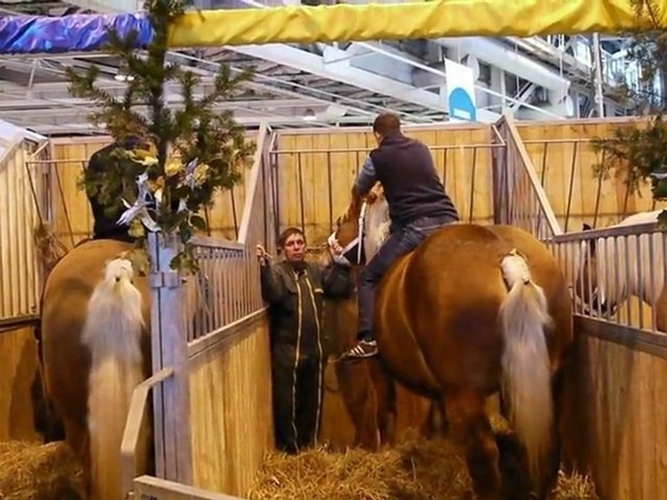 SALON AGRICOLE 2010