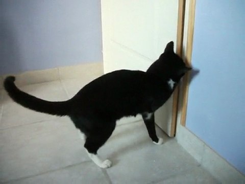 Ouvrir les portes : la méthode d'Ellie