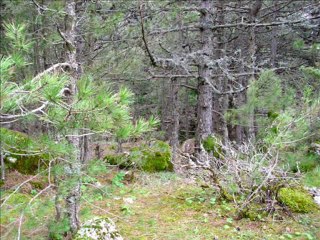 AĞLAYANKAYA-SPİL ATALANI  600 MT DEN  1.250 MT YE SLAYT