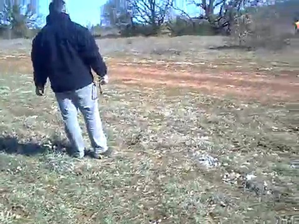 concours  saint chels 2010