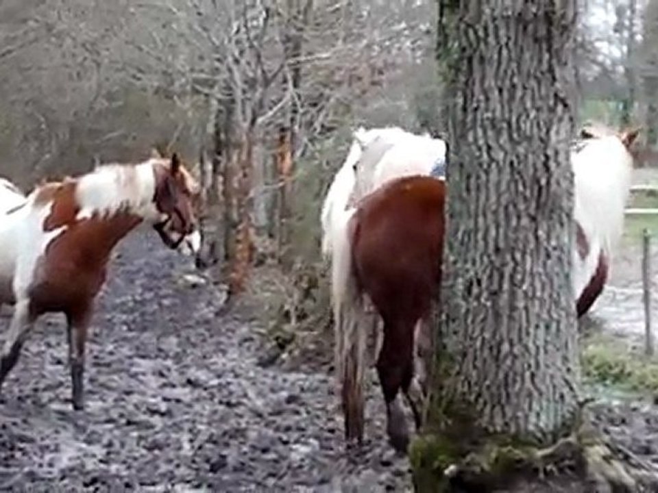 Rêve fait la loi