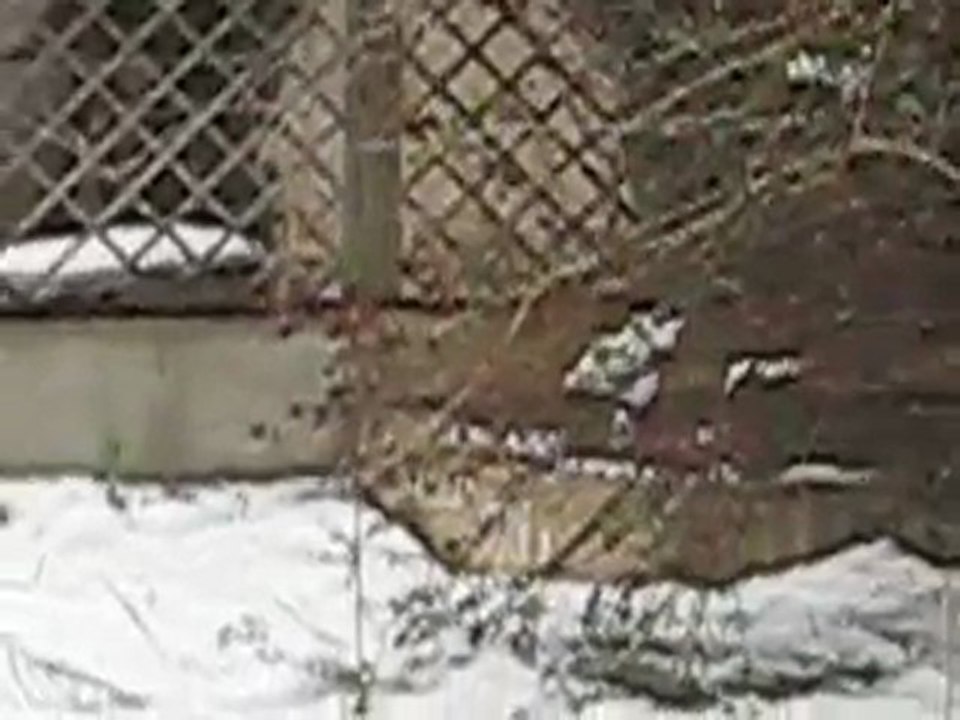 maison aigues vives 3