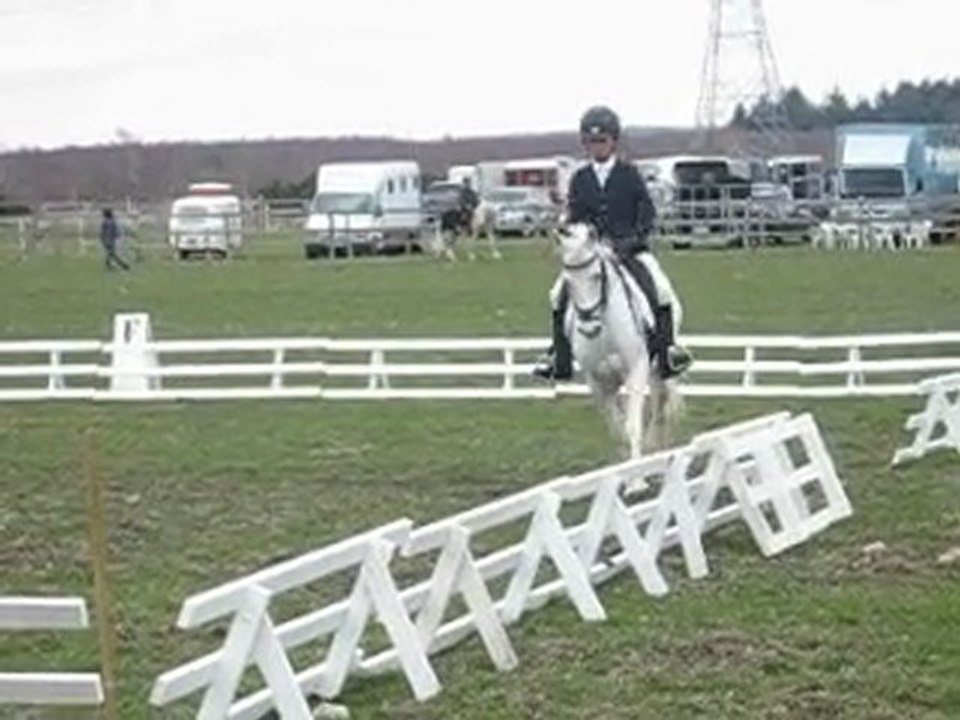 CCE beaumont pied de boeuf dress B élite