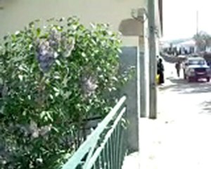 Valongo dos azeites 1