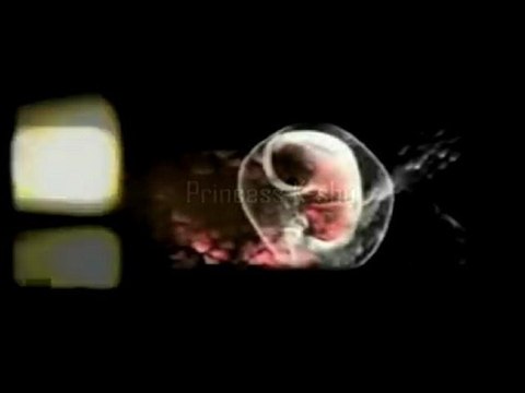 le soleil noir productions : teaser virgin sound